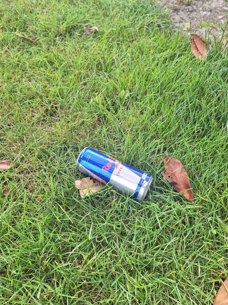 Red Bull aluminium can discarded as litter
